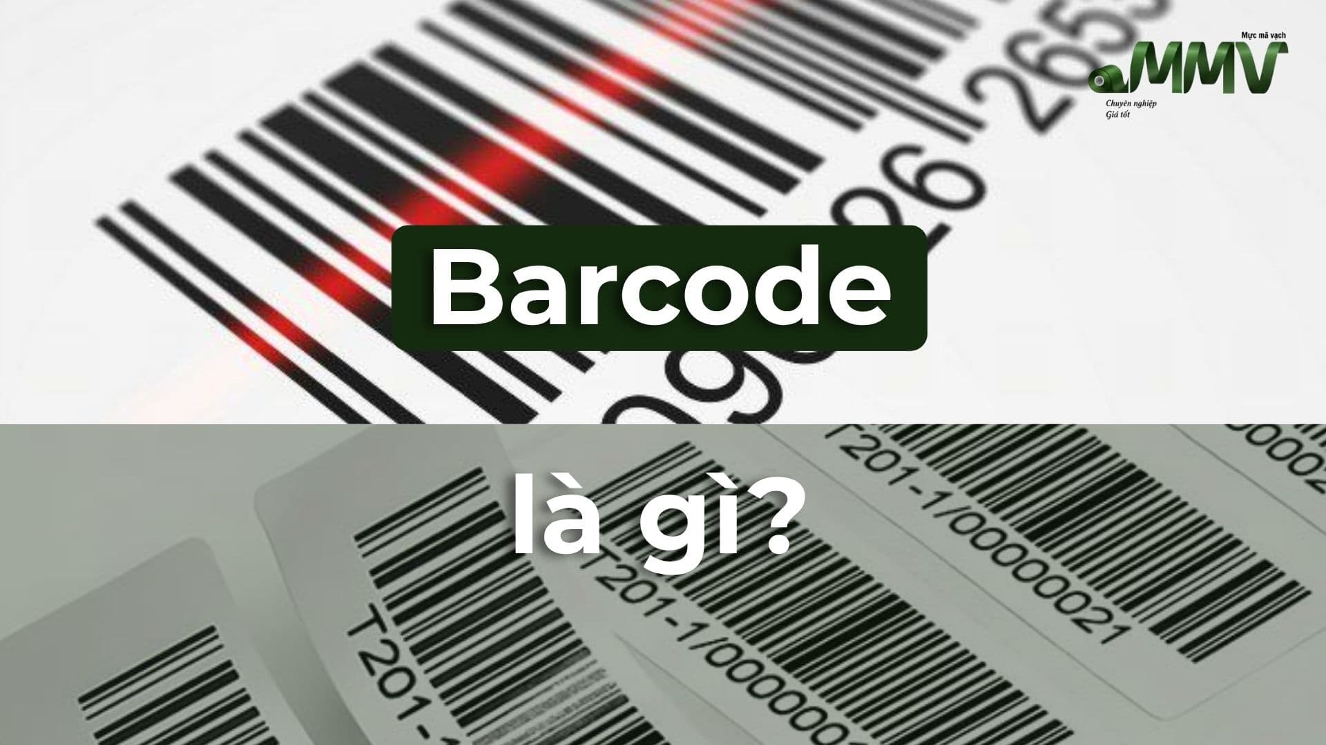 Barcode Là Gì? Các Loại Mã Vạch Phổ Biến Và Ứng Dụng