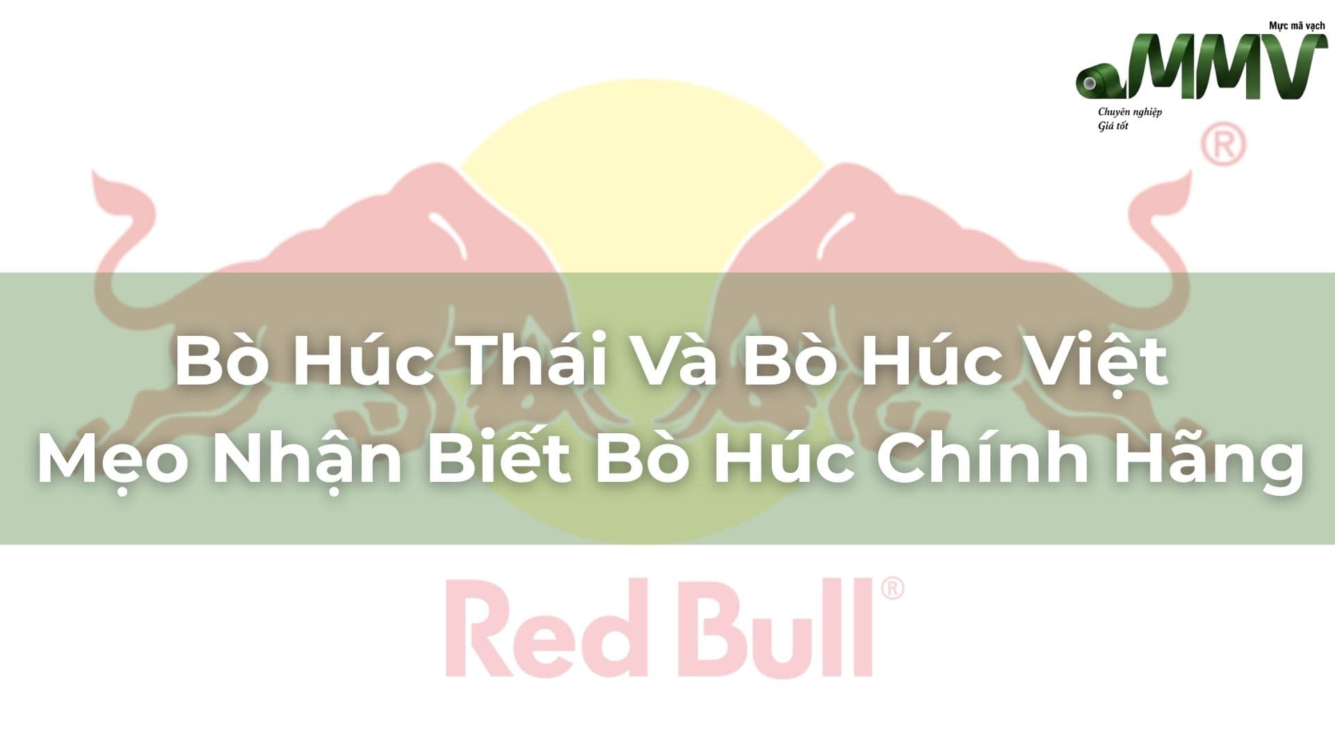 Cách Phân Biệt Bò Húc Thái Và Bò Húc Việt. Mẹo Nhận Biết Bò Húc Chính Hãng