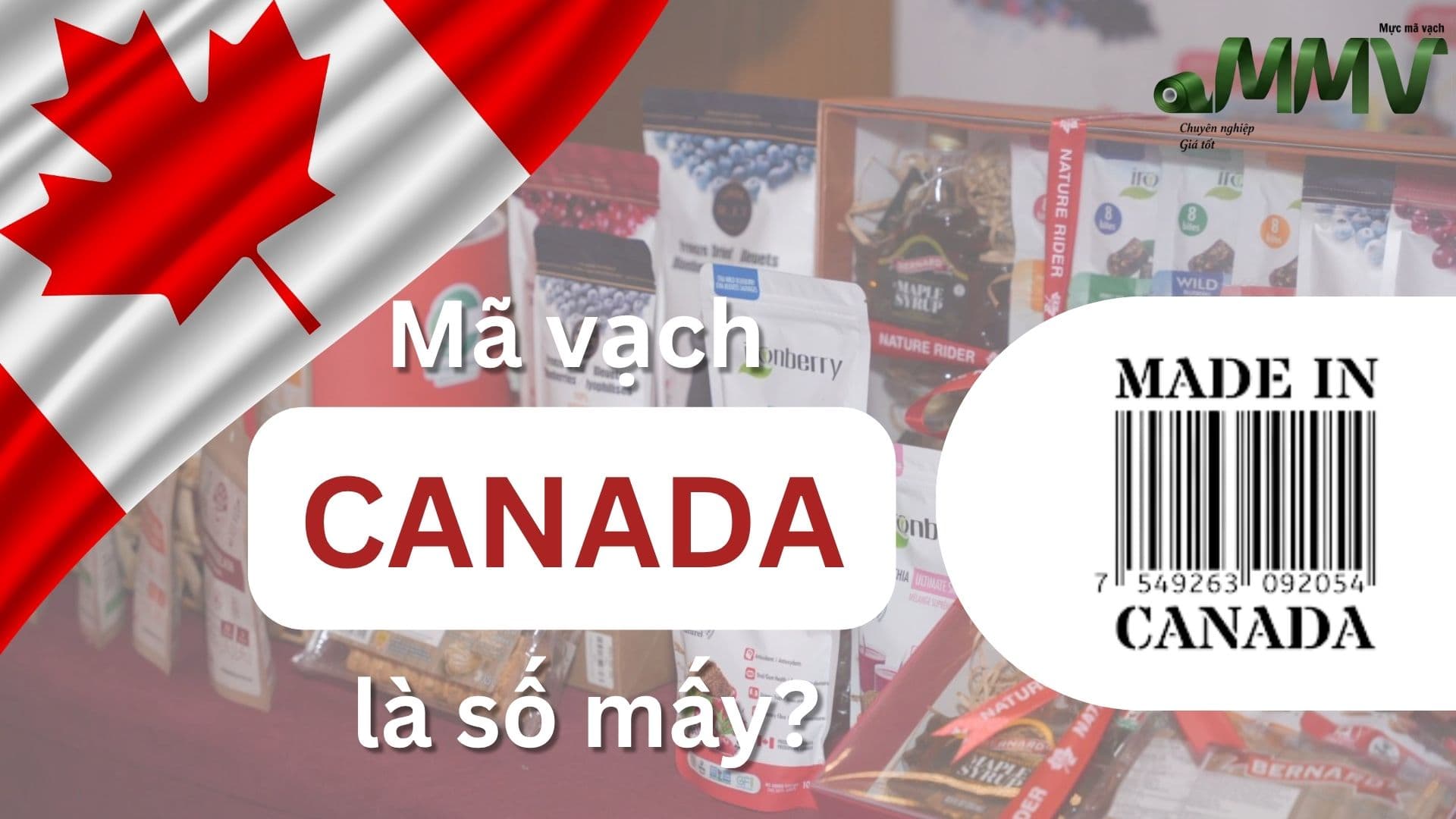 Mã vạch Canada là số mấy? Cách check mã vạch hàng hóa Canada