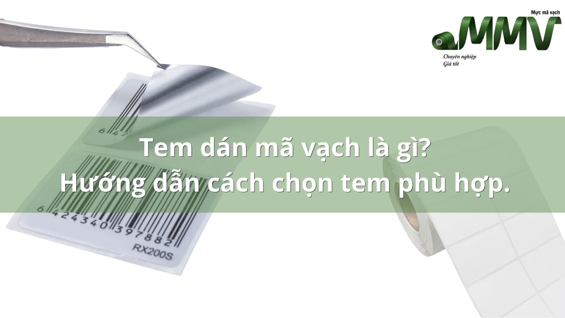 Tem Dán Mã Vạch Là Gì? Phân Loại Và Cách Chọn Tem Phù Hợp