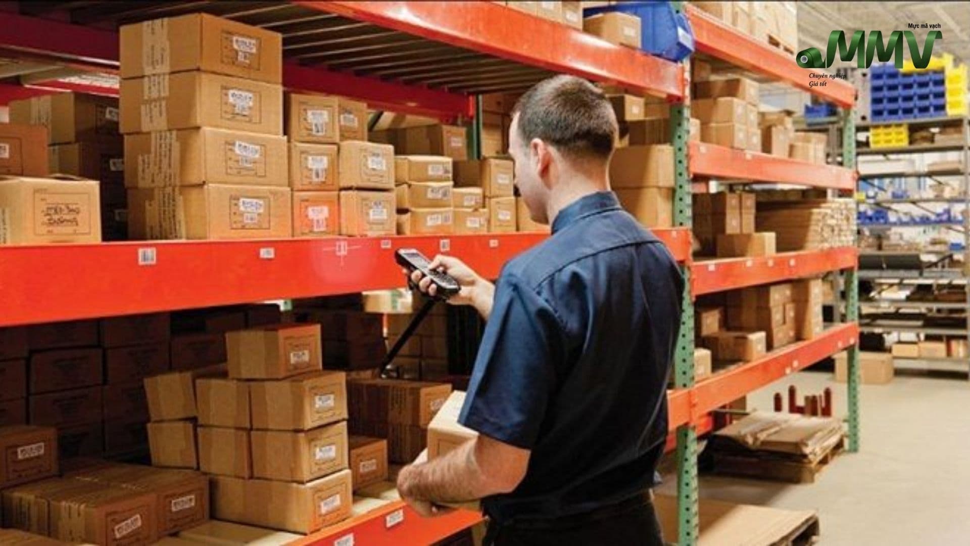 Kho Vận & Logistics