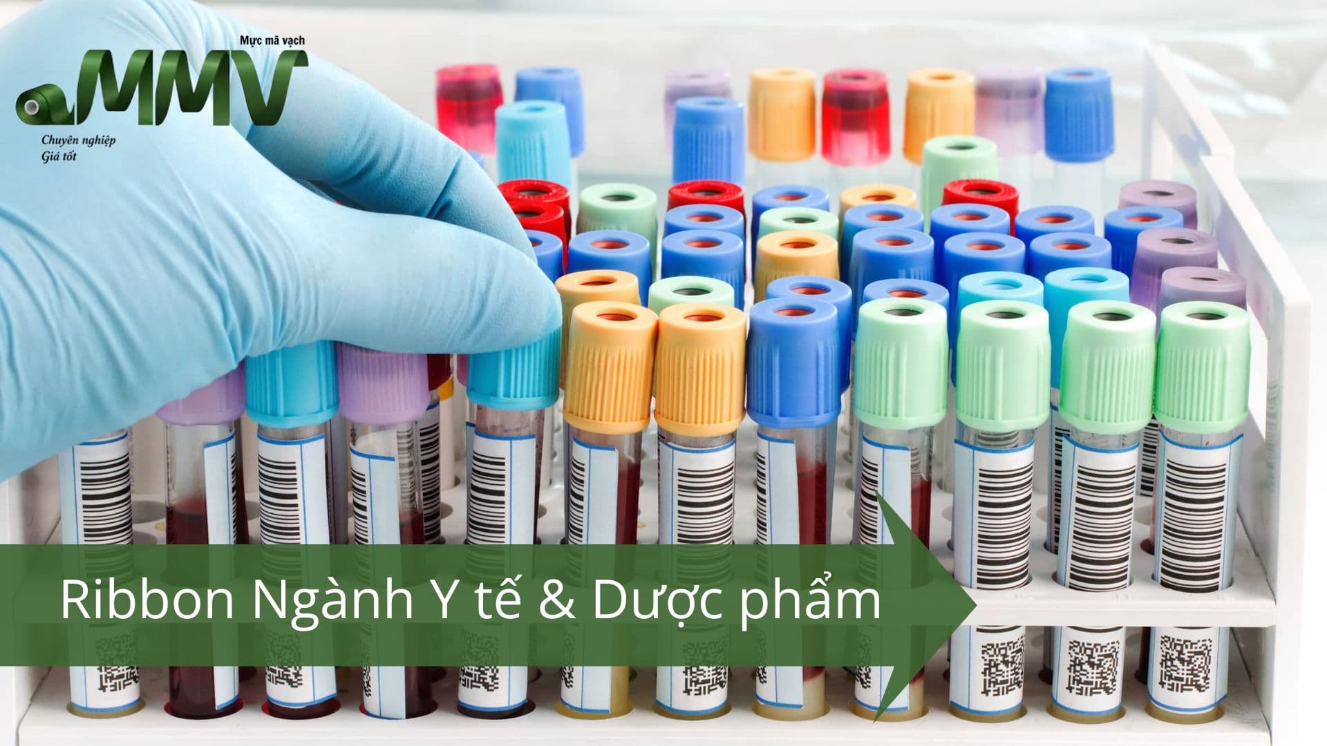 Ngành Y Tế