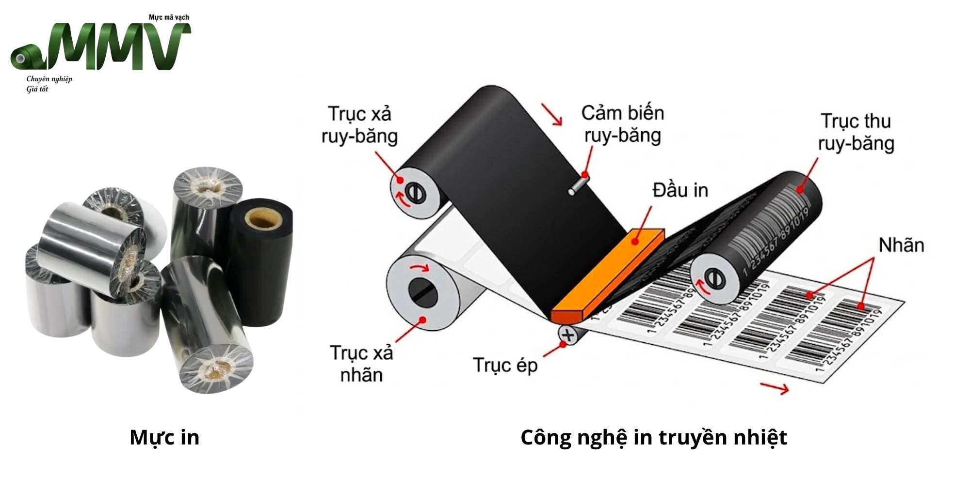 Mực in và công nghệ in truyền nhiệt