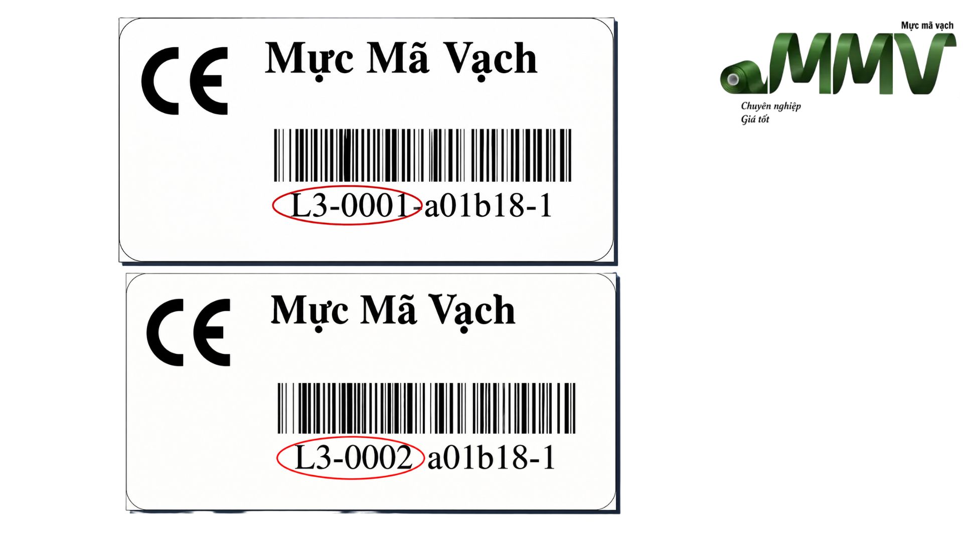 Bước 10