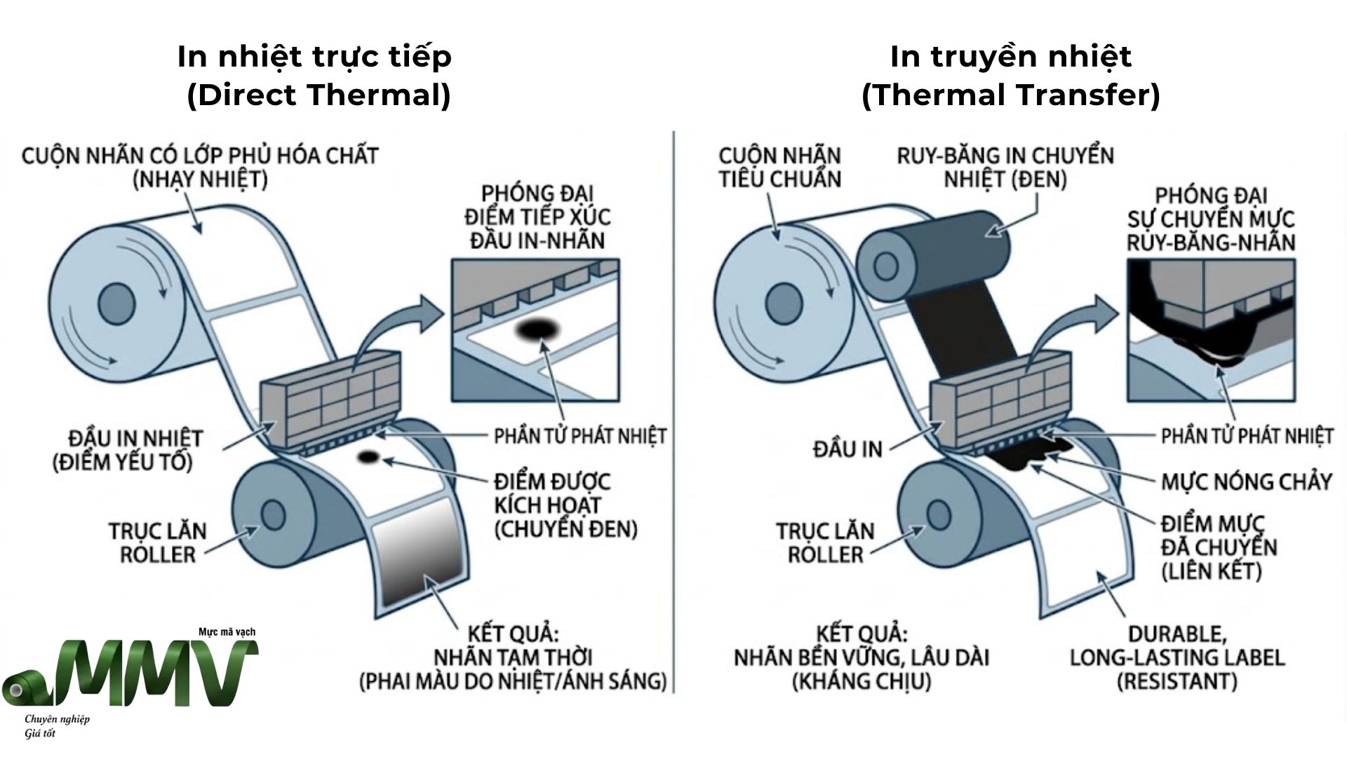 In nhiệt trực tiếp và in truyền nhiệt